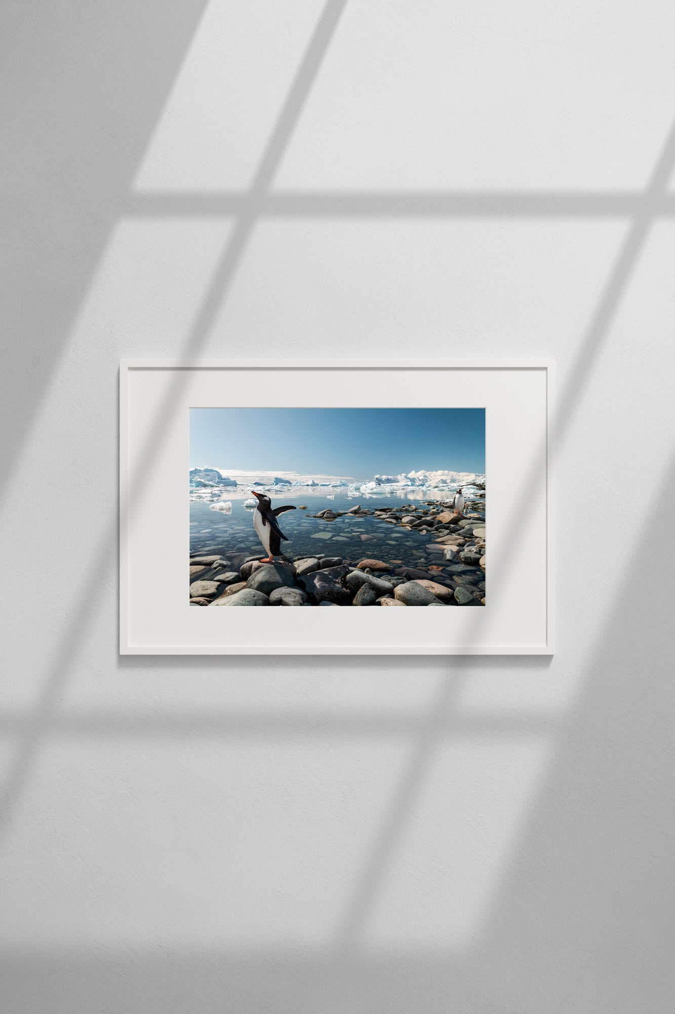 Il mio cartone animato preferito